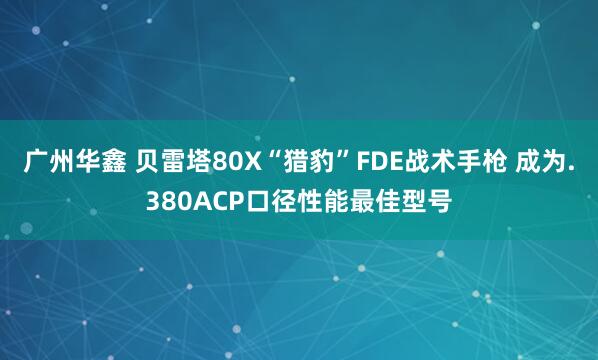 广州华鑫 贝雷塔80X“猎豹”FDE战术手枪 成为.380ACP口径性能最佳型号