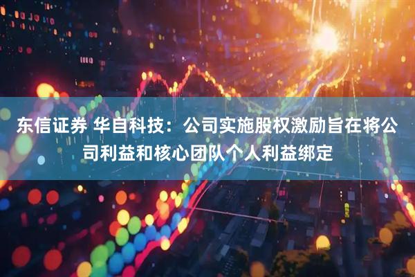 东信证券 华自科技：公司实施股权激励旨在将公司利益和核心团队个人利益绑定