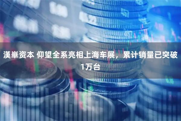 漢崋资本 仰望全系亮相上海车展，累计销量已突破1万台