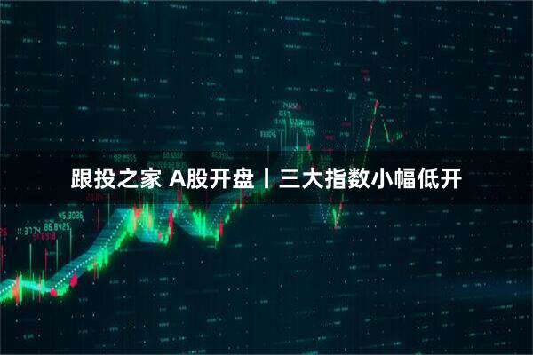跟投之家 A股开盘丨三大指数小幅低开
