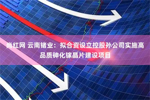 尚红网 云南锗业：拟合资设立控股孙公司实施高品质砷化镓晶片建设项目