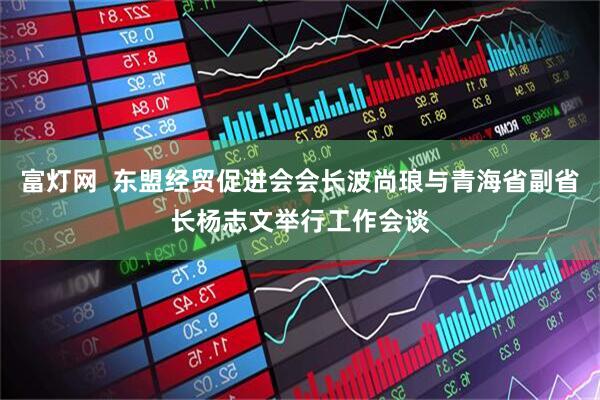 富灯网  东盟经贸促进会会长波尚琅与青海省副省长杨志文举行工作会谈