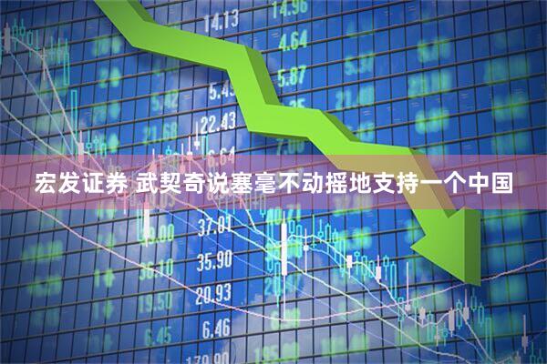 宏发证券 武契奇说塞毫不动摇地支持一个中国