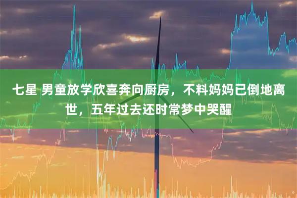 七星 男童放学欣喜奔向厨房，不料妈妈已倒地离世，五年过去还时常梦中哭醒