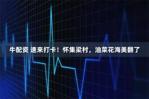 牛配资 速来打卡！怀集梁村，油菜花海美翻了