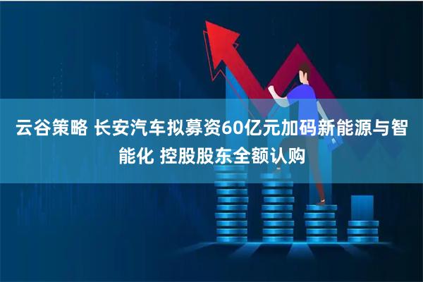 云谷策略 长安汽车拟募资60亿元加码新能源与智能化 控股股东全额认购
